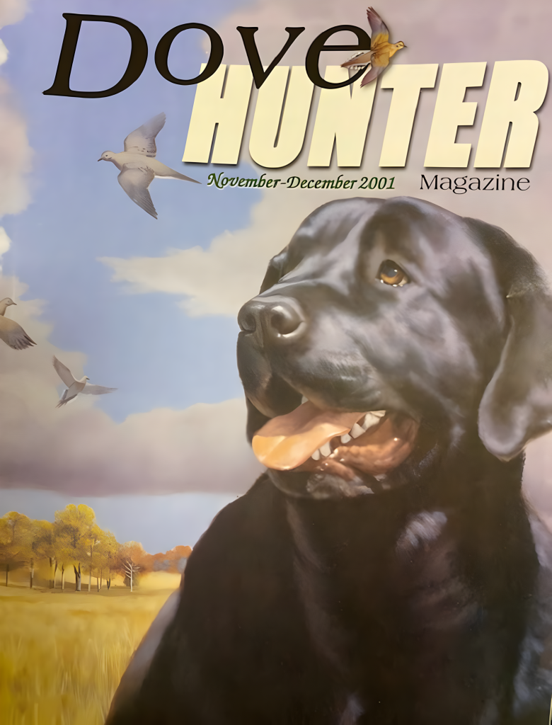 Image of Dove Hunter magazine cover