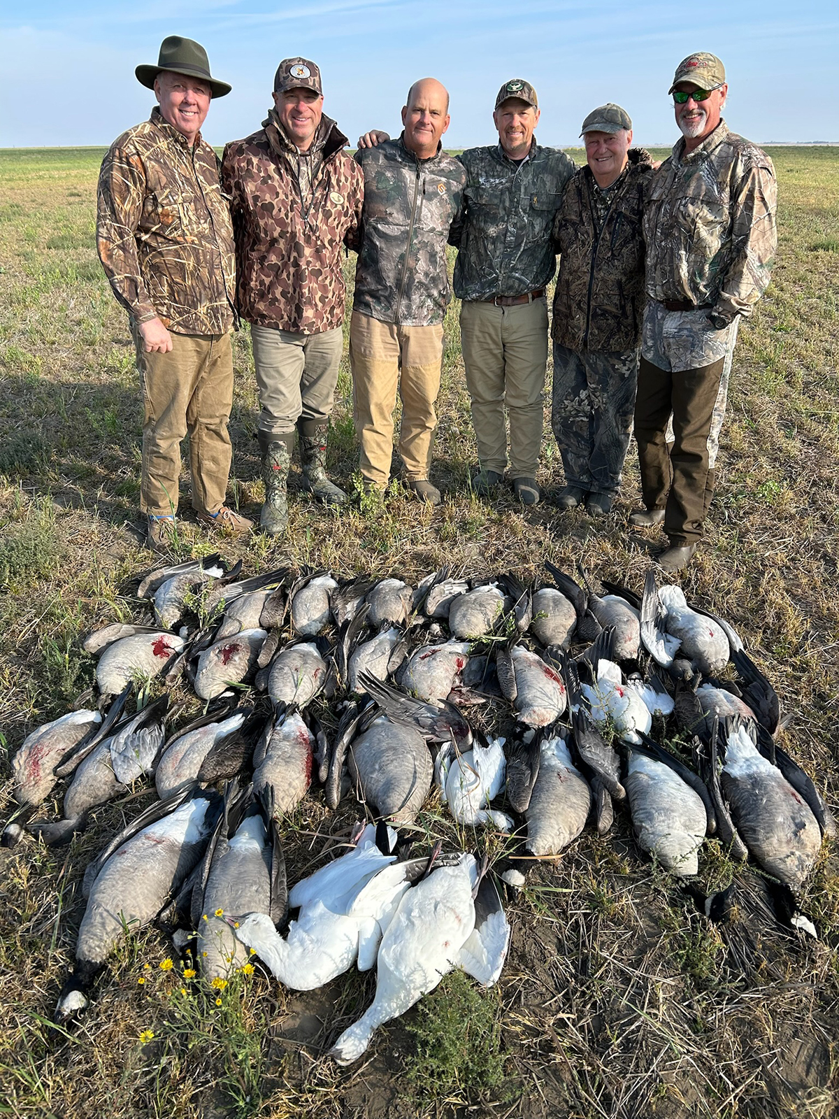Group of hunters posing with a successful waterfowl harvest, featuring a variety of geese and cranes on the ground, showcasing Saskatchewan's hunting experience.
