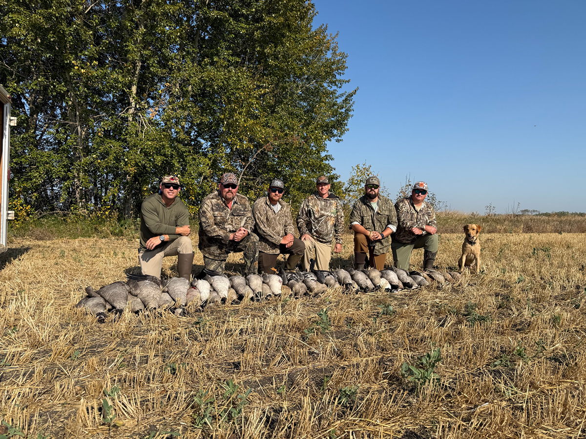 Hunters posing with harvested Canada geese in a Saskatchewan field, showcasing a successful waterfowl hunting trip with a loyal dog nearby.
