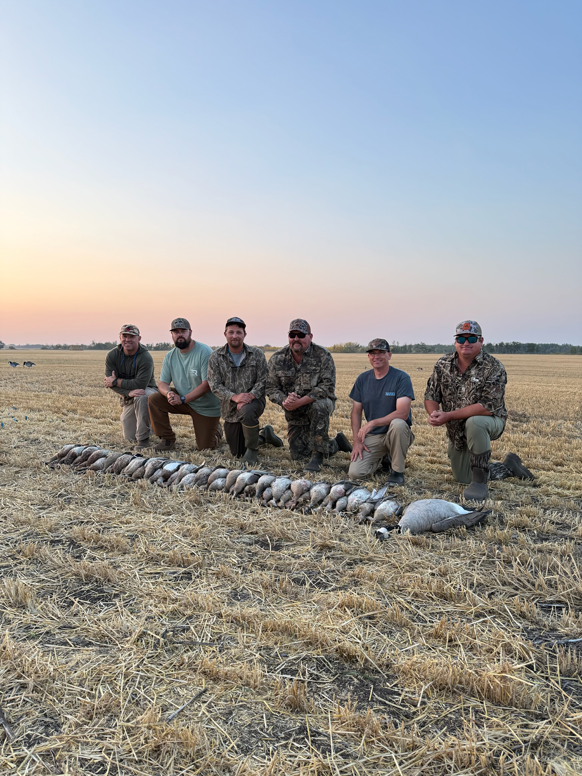 Group of hunters in camouflage attire posing in a harvested field with a row of harvested waterfowl, including Canada geese, showcasing a successful waterfowl hunting experience in Canada.
