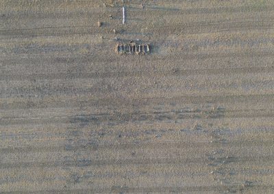 Aerial view of a field in Alberta showing hunting decoys arranged for waterfowl hunting, highlighting the prime habitat for Canada geese, snow geese, and ducks.