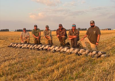 Hunters posing with a successful Canada goose harvest in a golden Alberta field, showcasing teamwork and the rewarding hunting experience offered by Northern Winds.