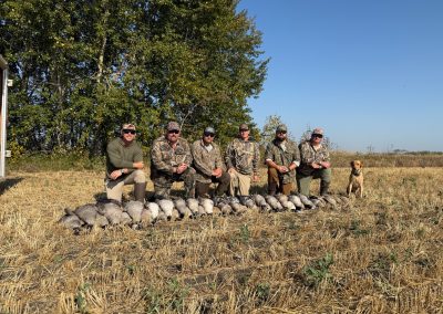 Hunters in camouflage gear posing with a successful waterfowl hunt, showcasing Canada geese and a dog in a harvested field under a clear Alberta sky.