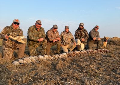 Hunters in camouflage gear showcasing a successful waterfowl hunt in Alberta, with a line of harvested Canada geese and ducks laid out on the ground, capturing the essence of the Northern Winds hunting experience.