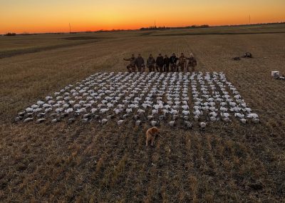 Group of hunters posing in a field surrounded by decoys of Canada geese at sunset, showcasing a successful waterfowl hunting experience in Alberta.