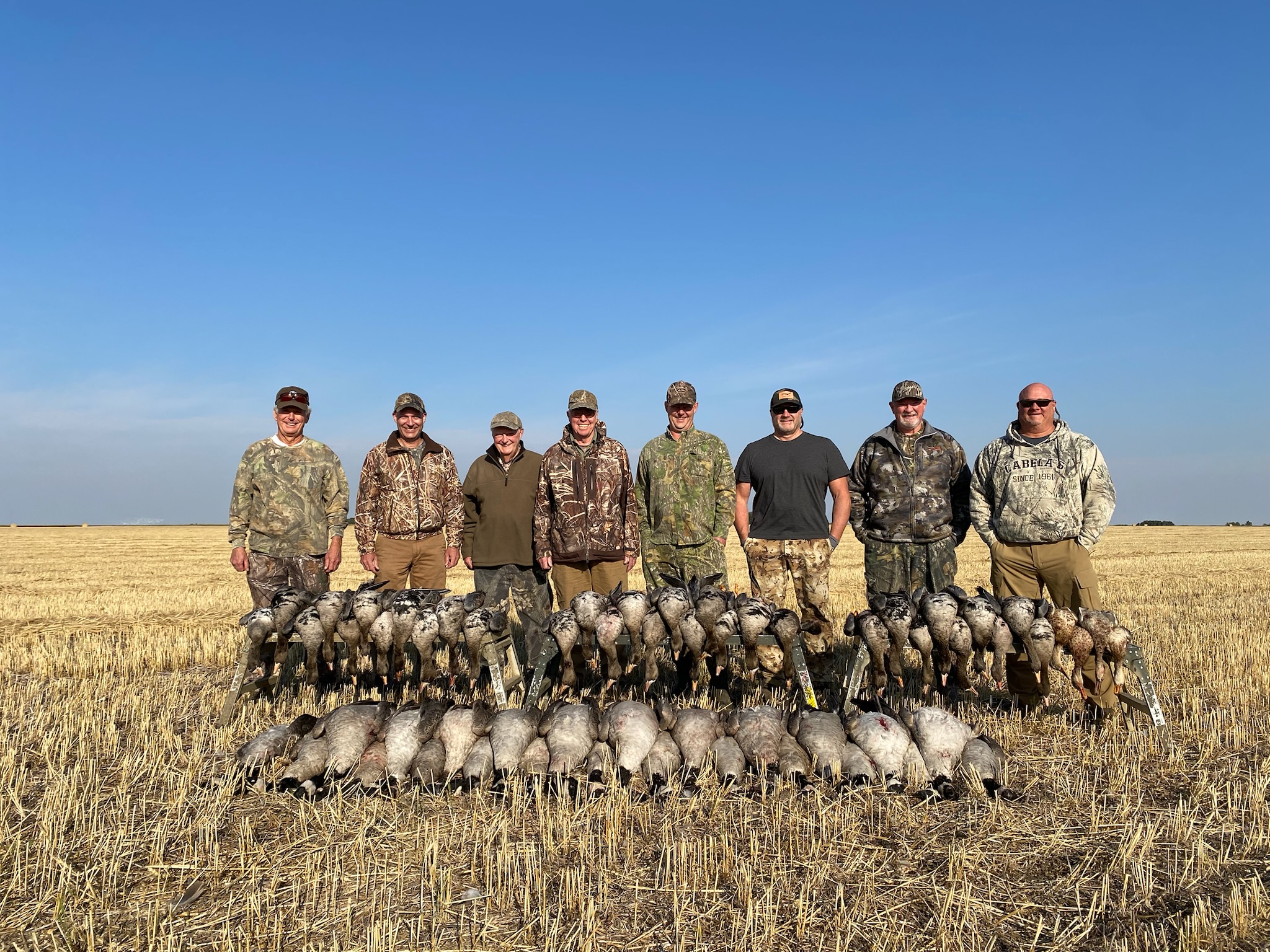 Group of hunters in camouflage attire standing in a field, showcasing their successful bird hunting expedition with a collection of geese laid out in front of them, under a clear blue sky.