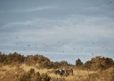 Hunters in a field with red-legged partridges flying overhead at El Despeñadero, showcasing the dramatic landscape and hunting experience in Spain.