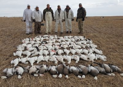 Hunters posing with a successful harvest of snow geese and ducks on a Saskatchewan prairie, showcasing the rewarding waterfowl hunting experience offered by Wings Inc.