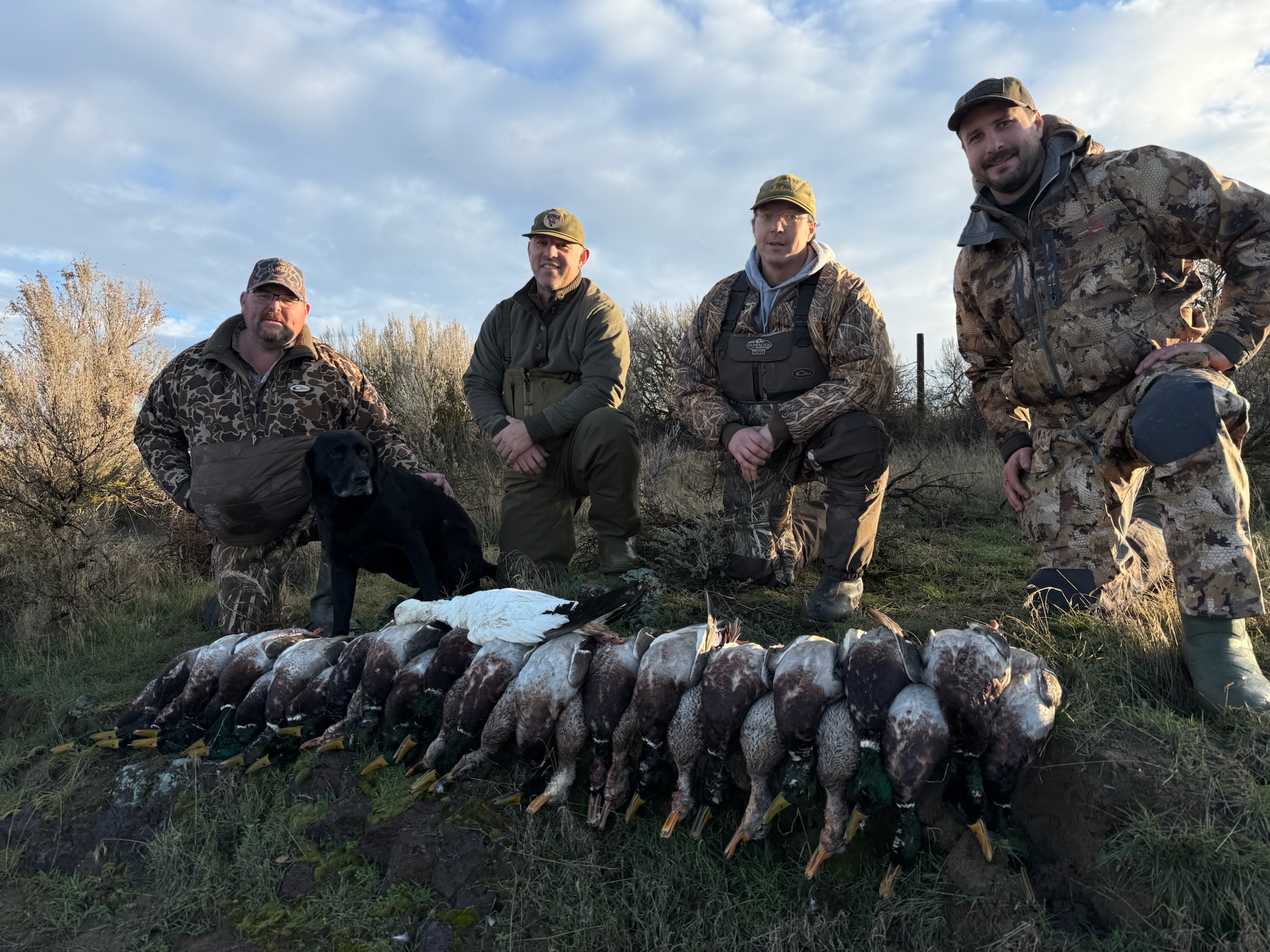 Hunters posing with a black lab beside a row of harvested mallard ducks in the Columbia Basin, showcasing a successful guided hunt by Pacific Wings.