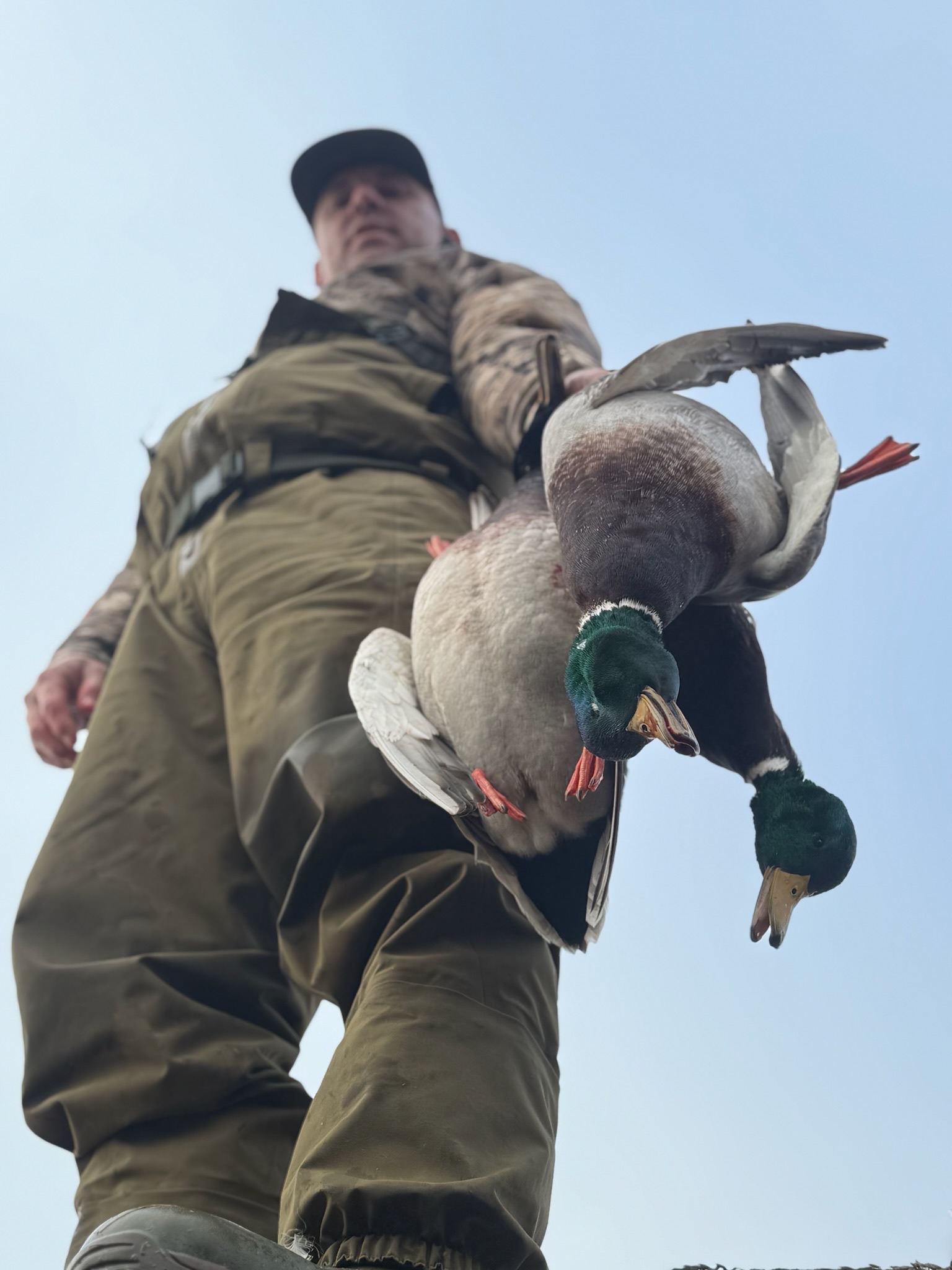 Man in camouflage holding two mallard ducks after a successful hunt, showcasing the rewards of Washington mallard hunting.