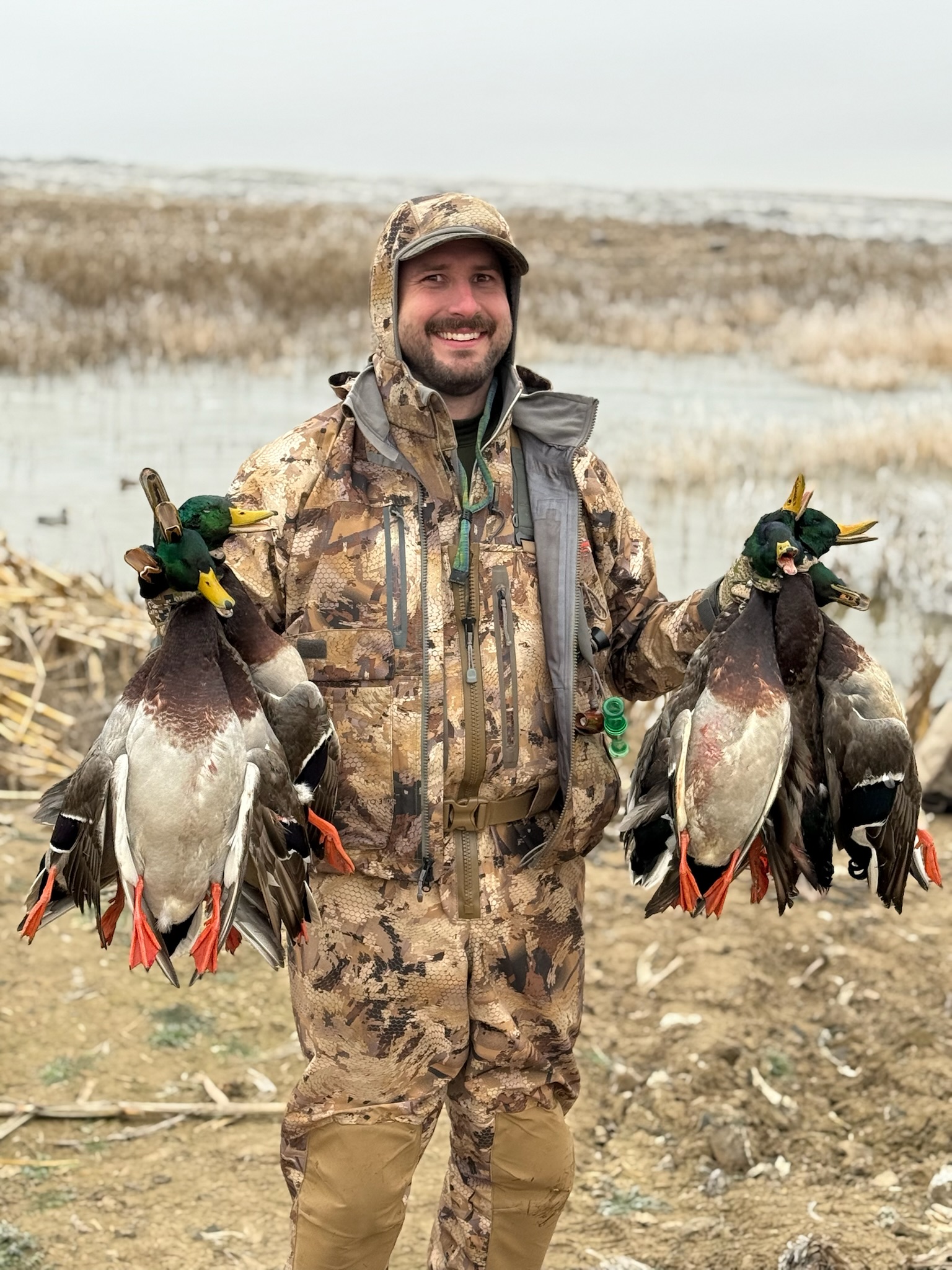 Man in camouflage holding four mallard ducks after a successful hunt in a wetland setting, showcasing the excitement of Washington mallard hunting.