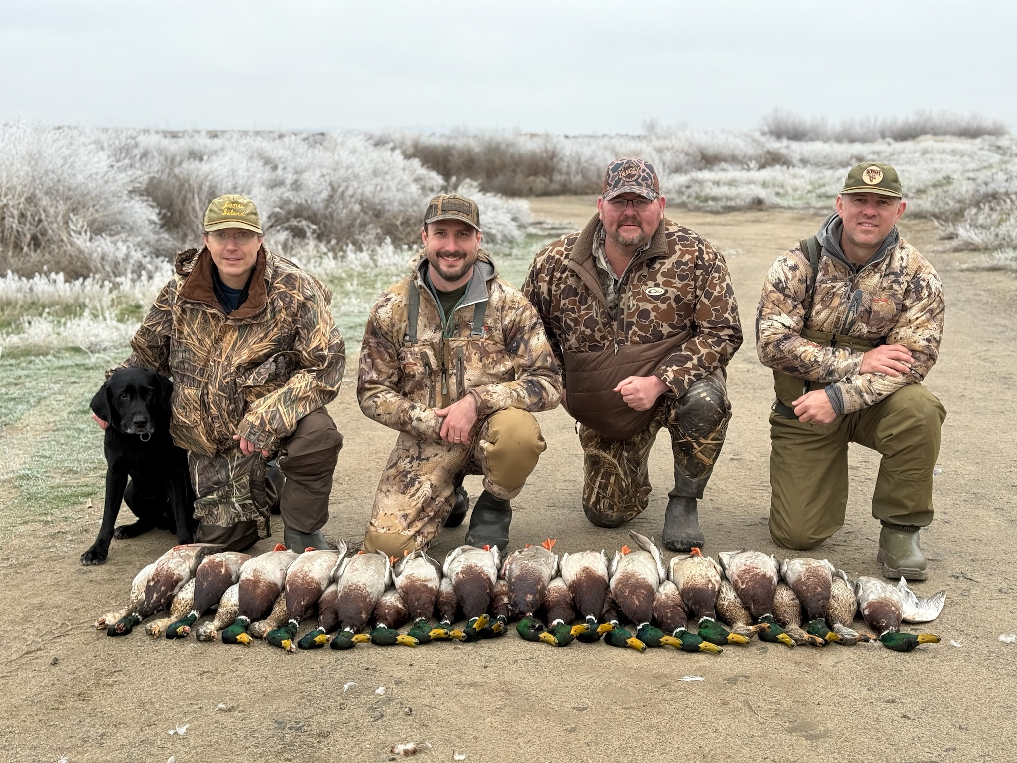 Group of hunters in camouflage gear with a black dog, posing with a successful catch of mallard ducks on a frosty landscape, highlighting a premier Washington mallard hunting experience.