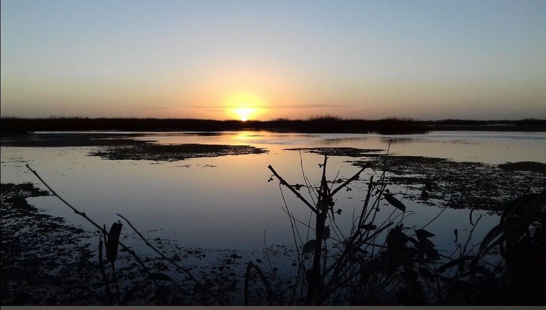 Wings-Uruguay-1 Sunset over tranquil wetlands in Uruguay, reflecting waterfowl hunting habitat, ideal for duck hunting and perdiz shooting adventures.