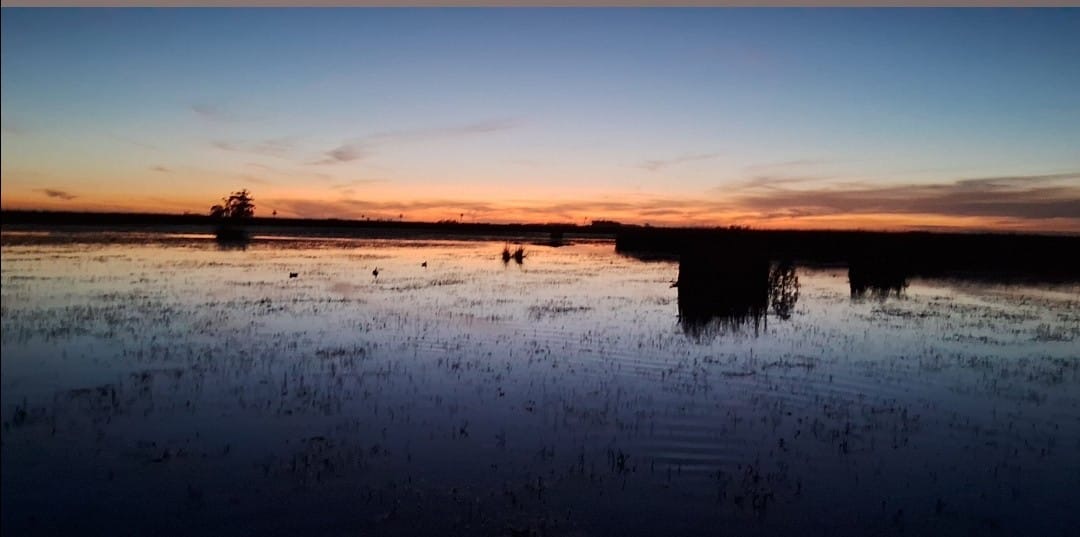 Wetlands at sunset in Uruguay, reflecting tranquil waters, ideal for duck hunting and perdiz shooting experiences.