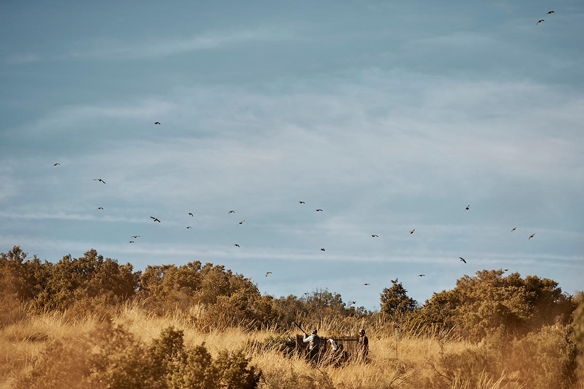 Hunters in a field with flying birds, representing wingshooting opportunities at El Despeñadero estate in Spain.