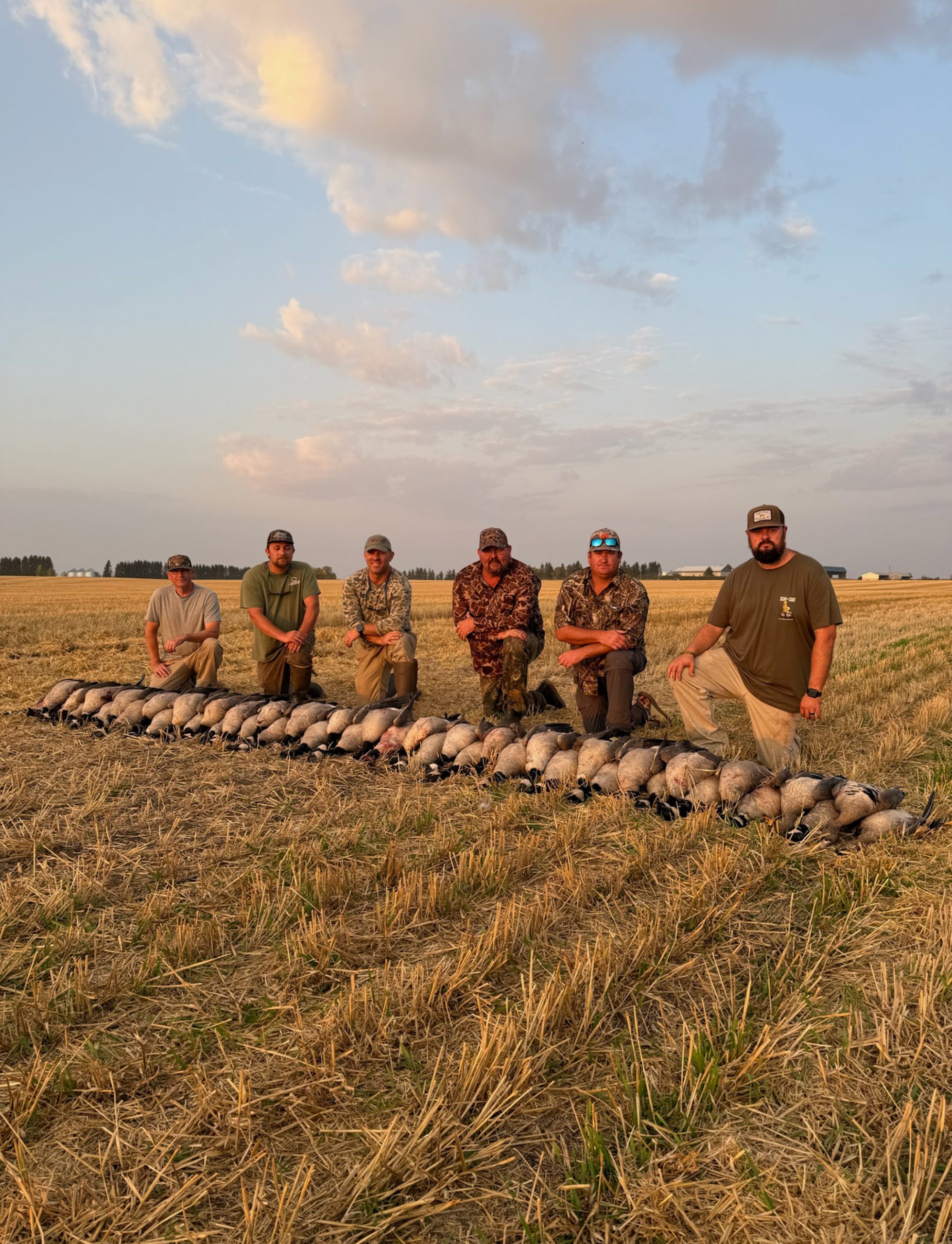 canada-hunting-destination Group of hunters posing in a Saskatchewan field with a successful Canada goose harvest, showcasing numerous geese lined up in front, under a scenic sky.