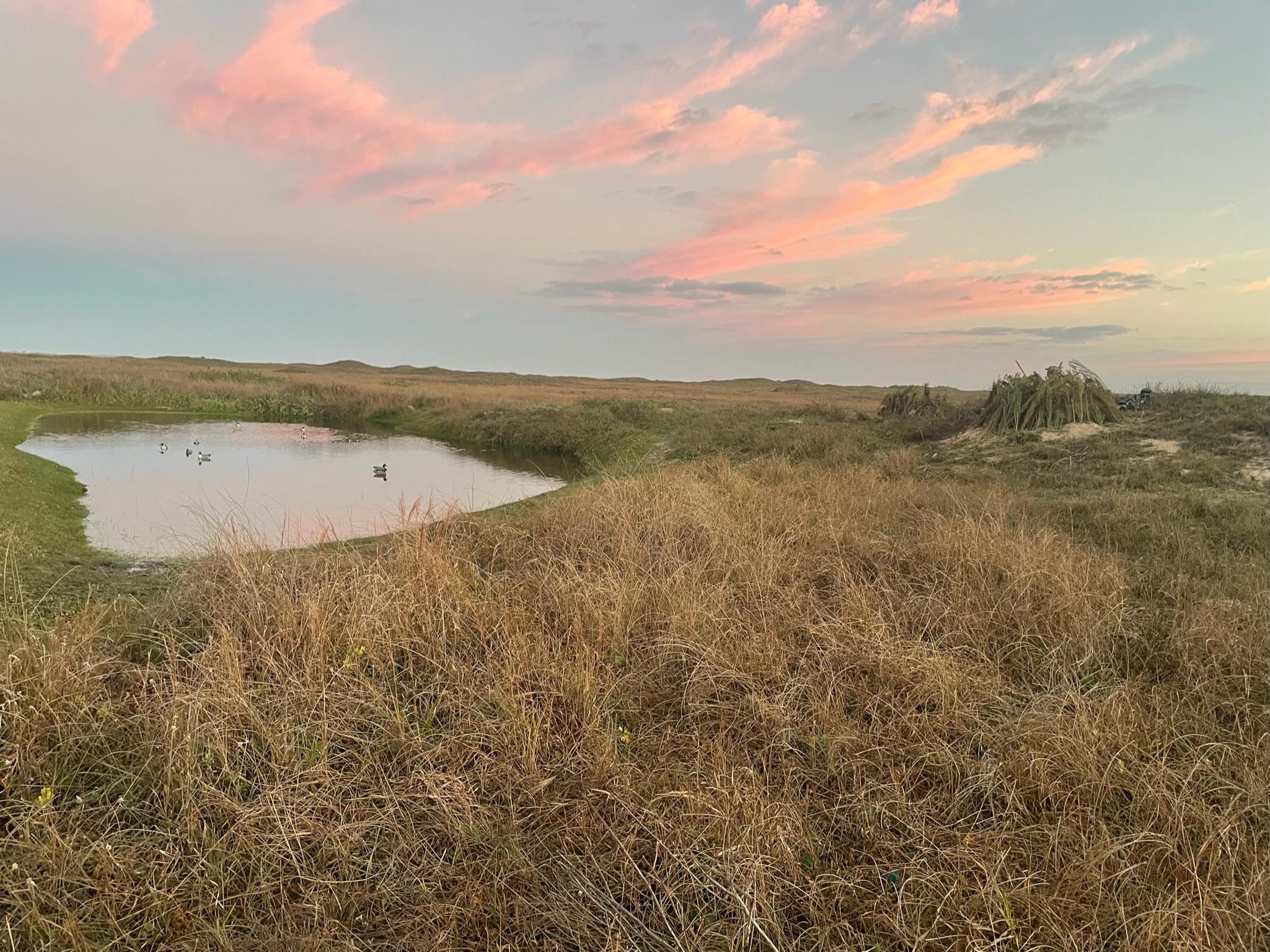 Lush grassland with a small pond reflecting the sky at sunset, featuring ducks swimming, highlighting a serene hunting environment at Palm Lodge on the Laguna Madre.