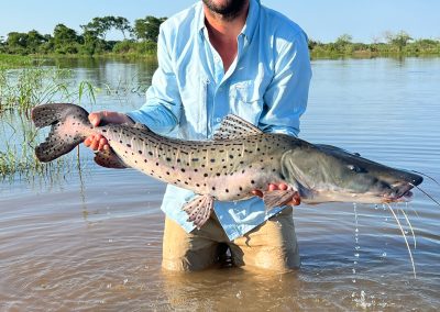 Angler holding a Golden Dorado fish at Don Joaquín River Lodge in Argentina