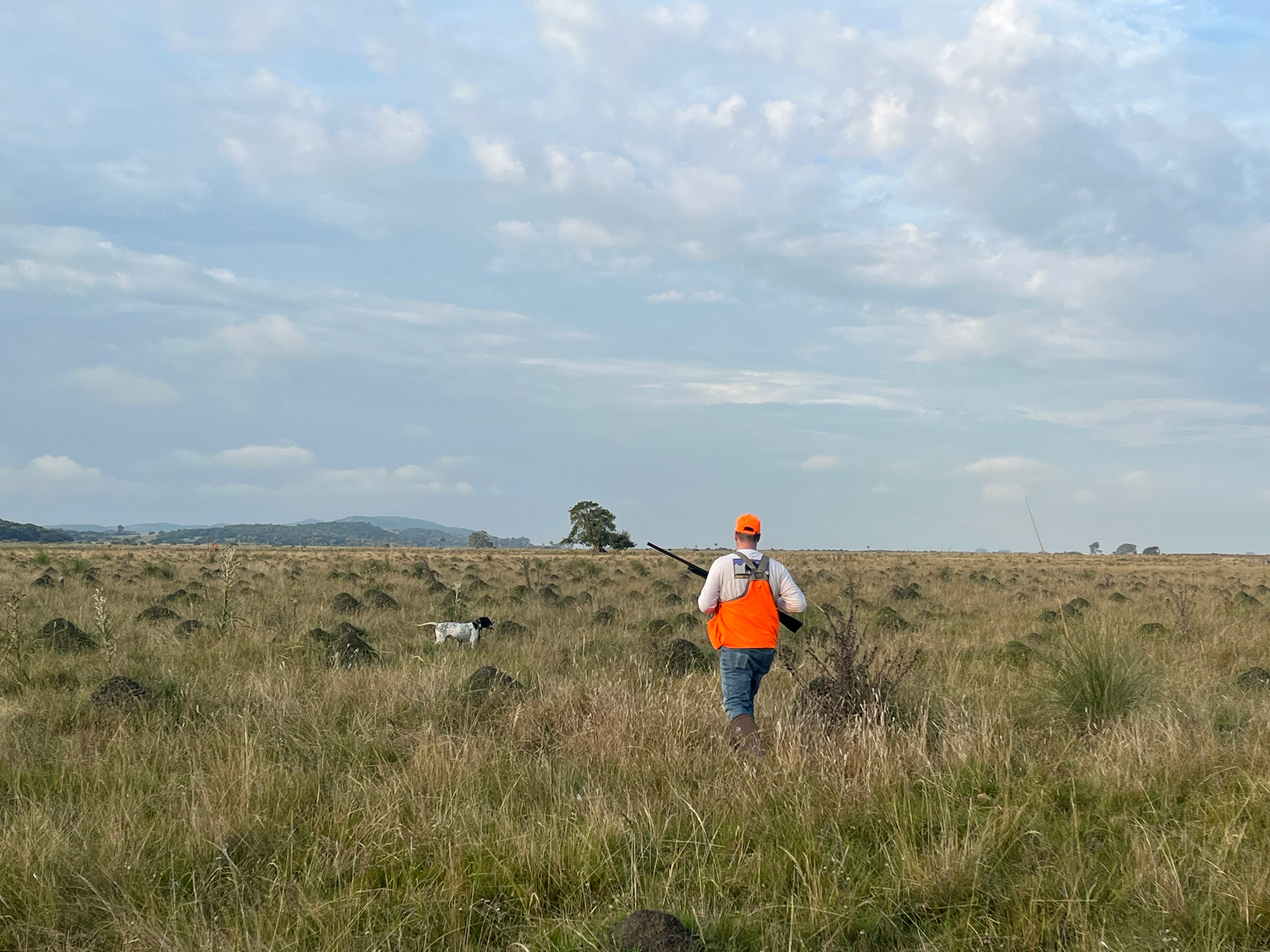 Uruguay-hunt-hero Uruguay Perdiz Hunting with Wings, INC